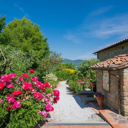 Apartment Il Borghetto-3 By Interhome Montecarelli Экстерьер фото